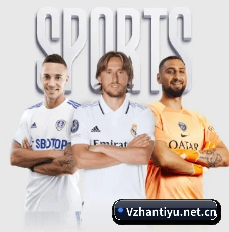 我们在做什么 - 长期内容价值积累 | vsport